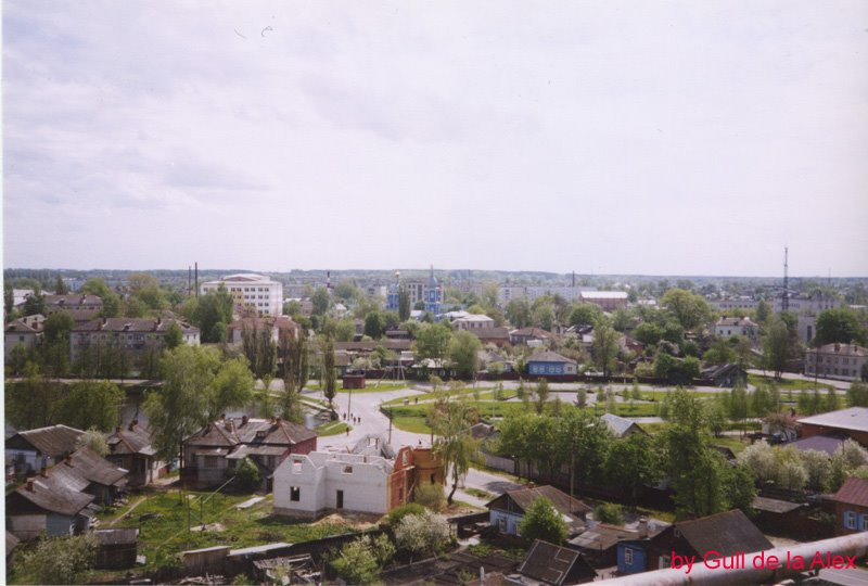 Вид на город с колеса обозрения, Новозыбков