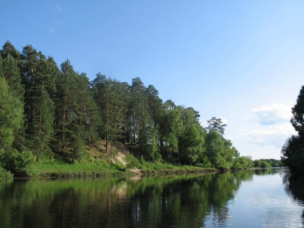 река Десна вблизи г.Жуковка Брянской области. Июнь 2008 года., Рогнедино