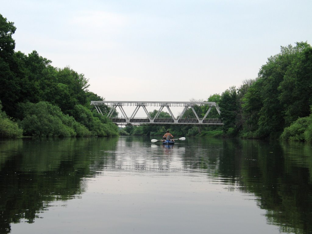 Река Десна. Июнь 2008 года., Рогнедино