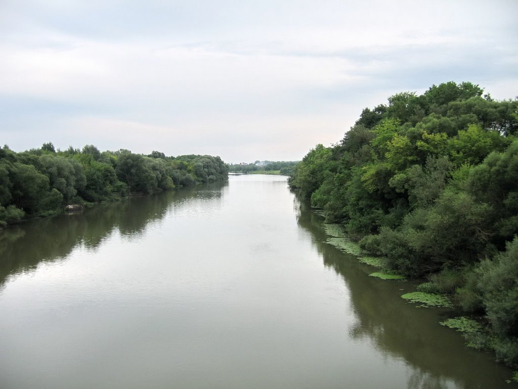Desna river, Рогнедино