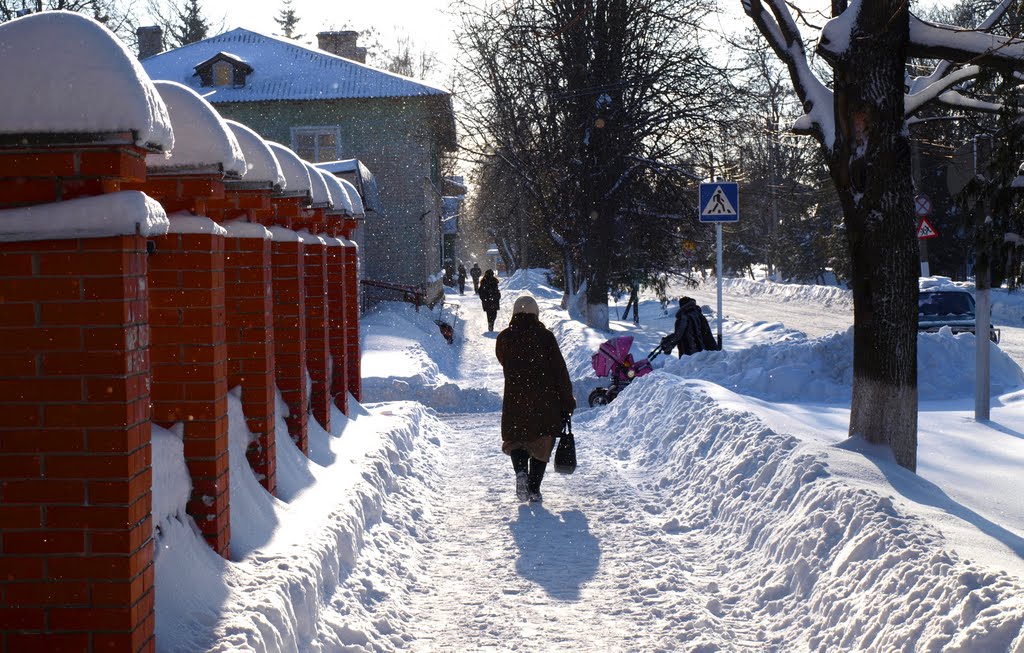 Севск.Зима2010, Севск