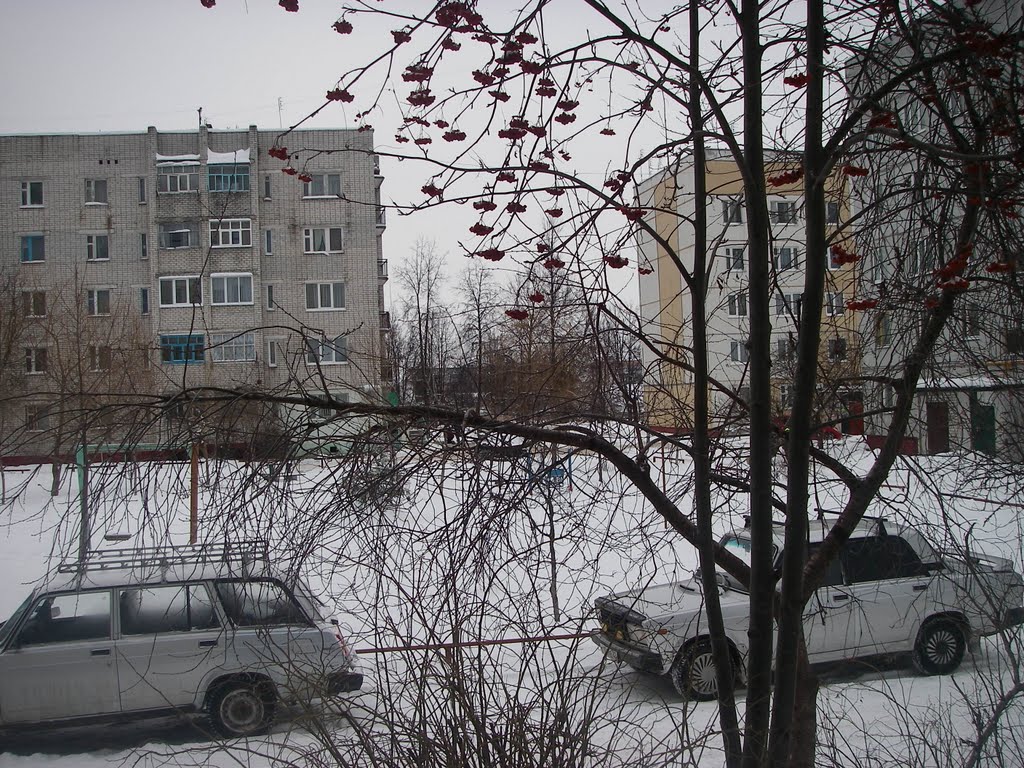 Январь 2011 г., Дятьково