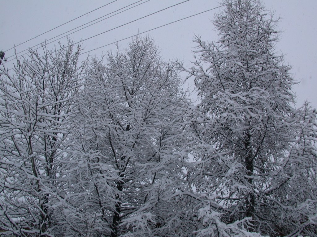 First Snow, Багдарин