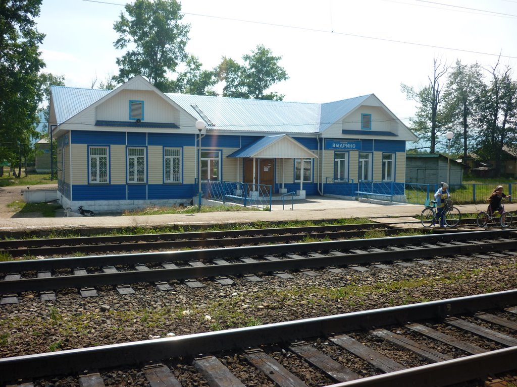 Vydrino railway station, Выдрино