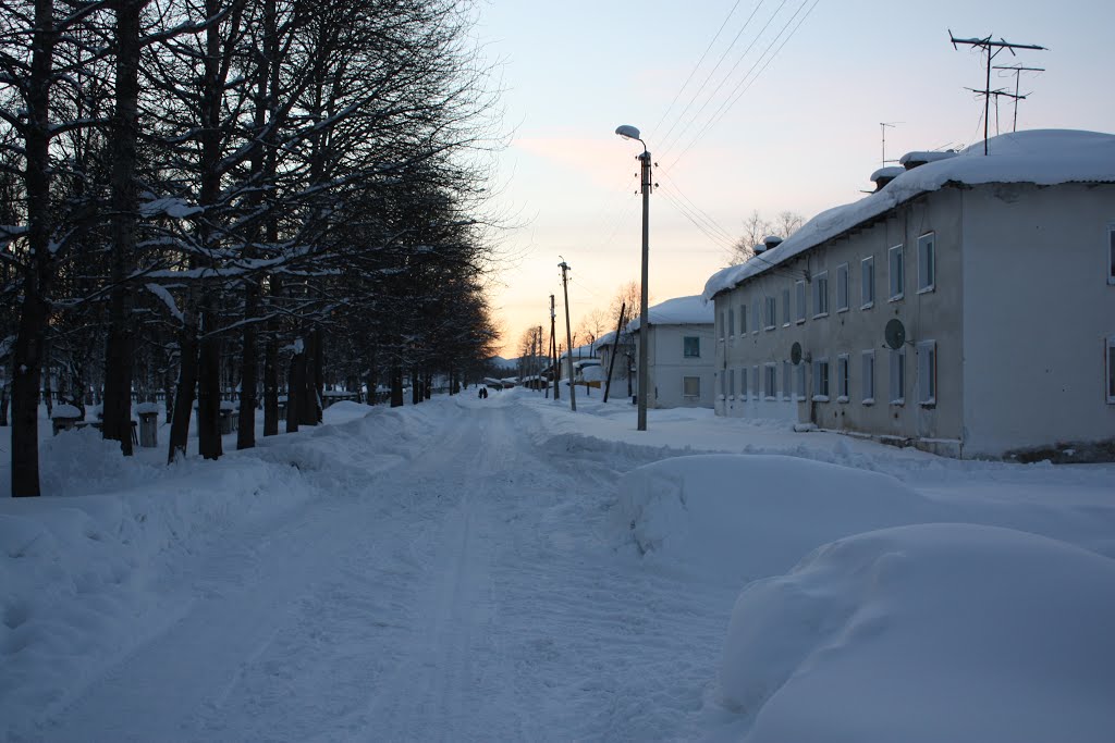 ул.Первомайская, Выдрино