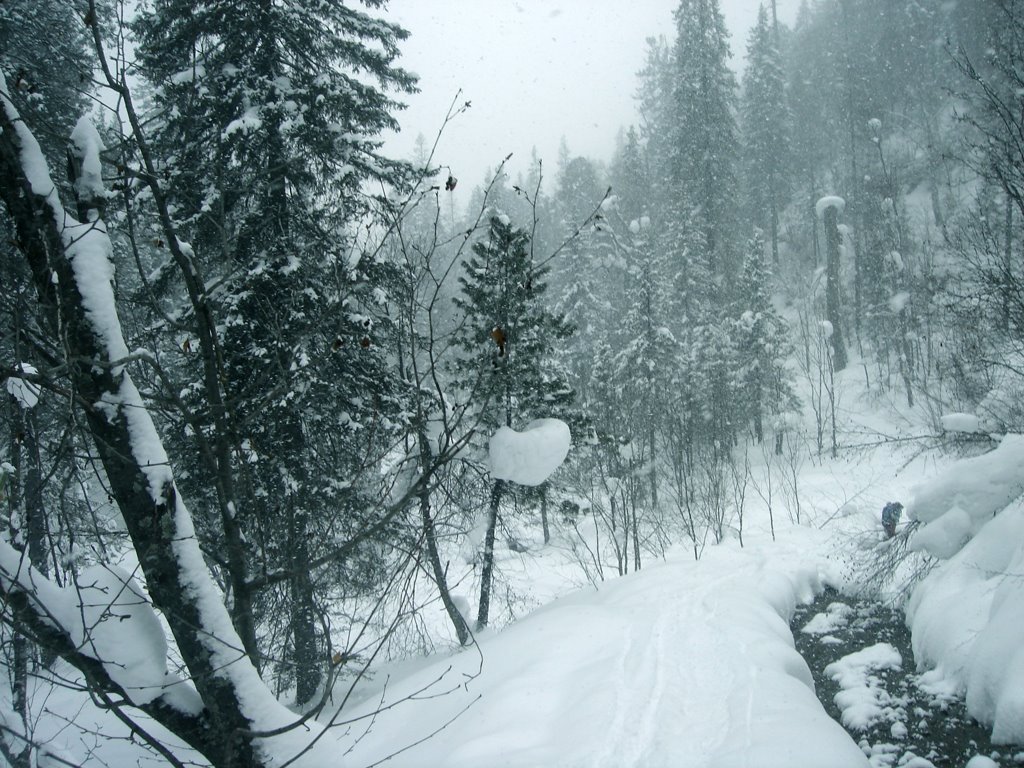 The Siberian snow / Сибирский снег_March, 2006, Петропавловка