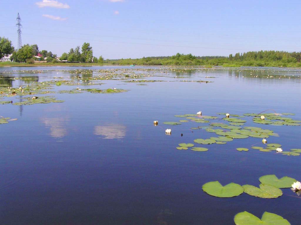 озеро в г.Гусь-Хрустальный, Анопино