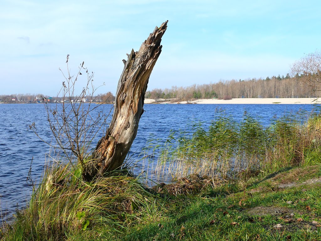 Городское озеро, Гусь-Хрустальный., Анопино