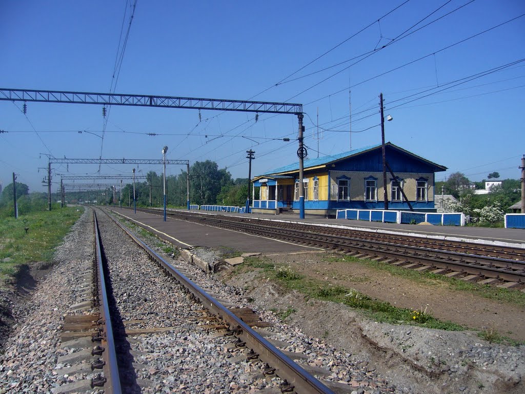 Railway st. Bogolubovo, Боголюбово