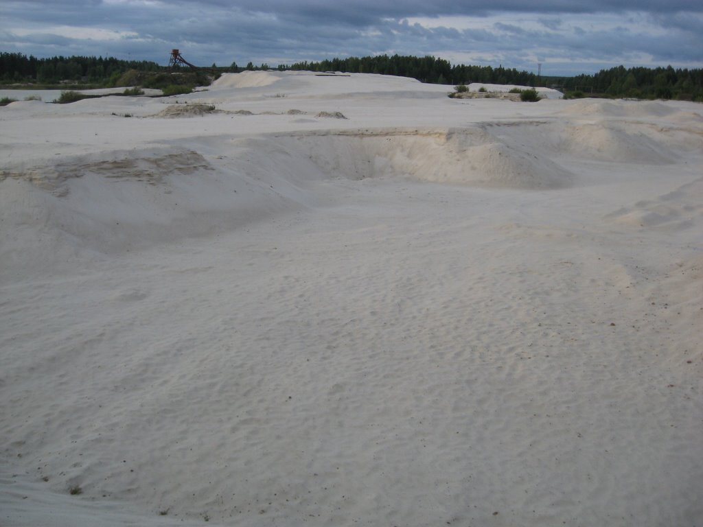 Белое озеро и белый песок, Великодворский