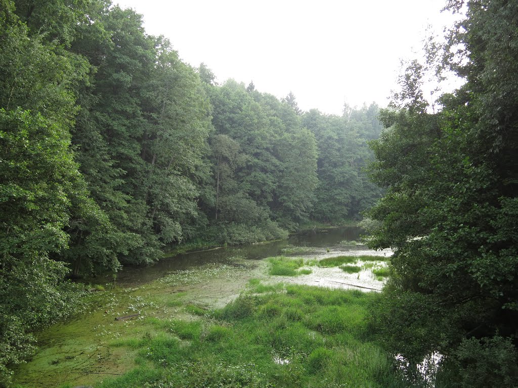 Upper pond, Вербовский