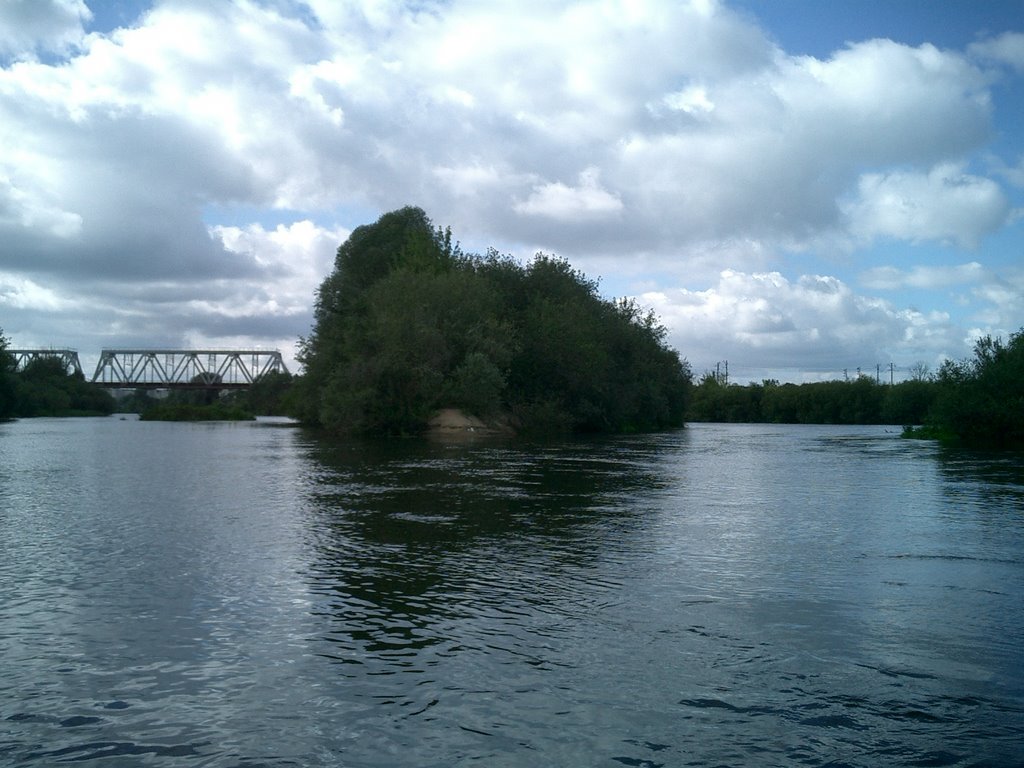 Kind on the bridge, from the river Kljazma, Городищи