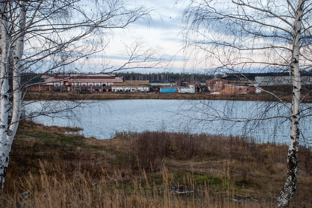 Вид на "Кирпичный" завод со стороны "Слёзки", Гусевский
