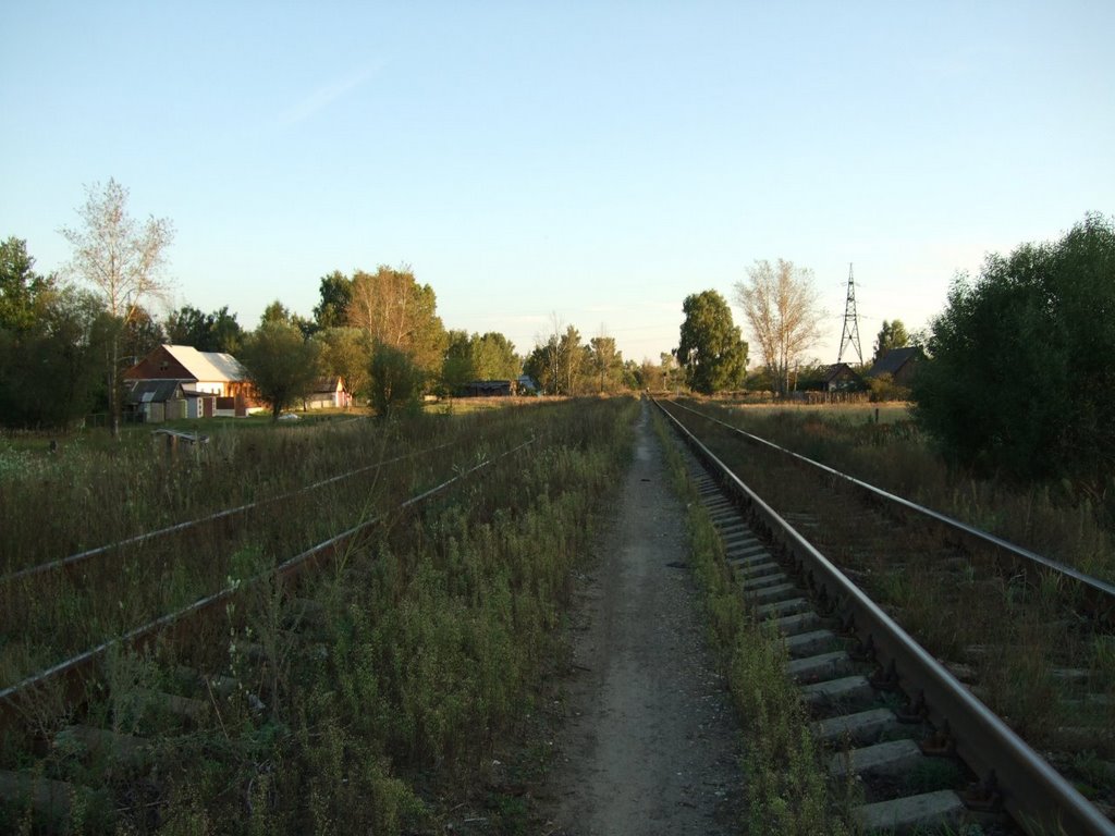 Железная дорога около 2го речного в сторону вокзала, Гусь Хрустальный