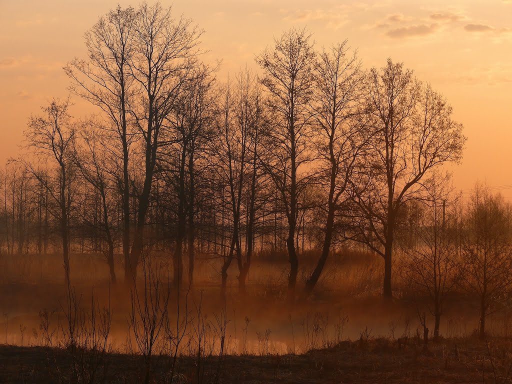 Рассвет на реке Судогда, Иванищи