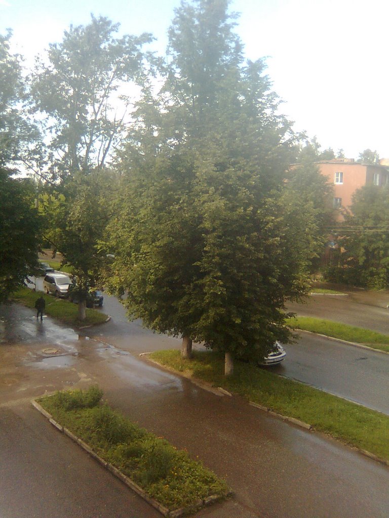 лето после дождя, Кольчугино