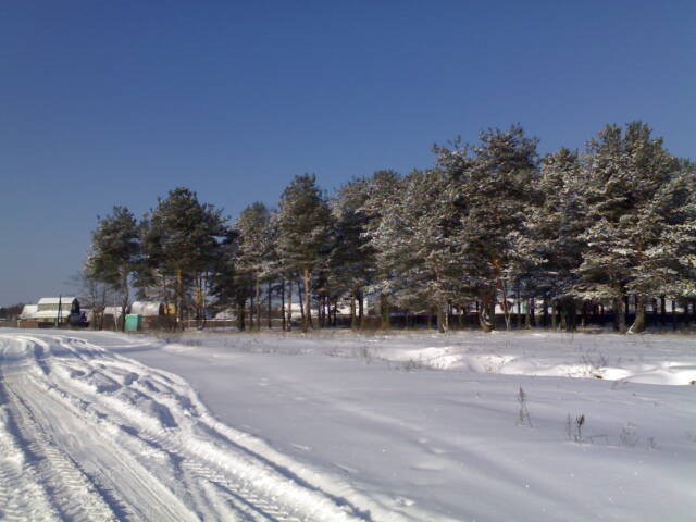 Дорога Покров - Глубоково, Владимирская область 1 марта 2007, Покров