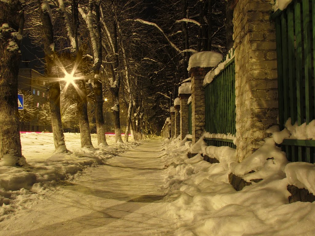 Зима 2011, Покров