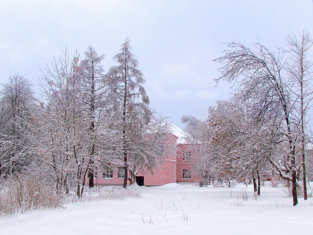 Дворик колледжа зимой, Покров