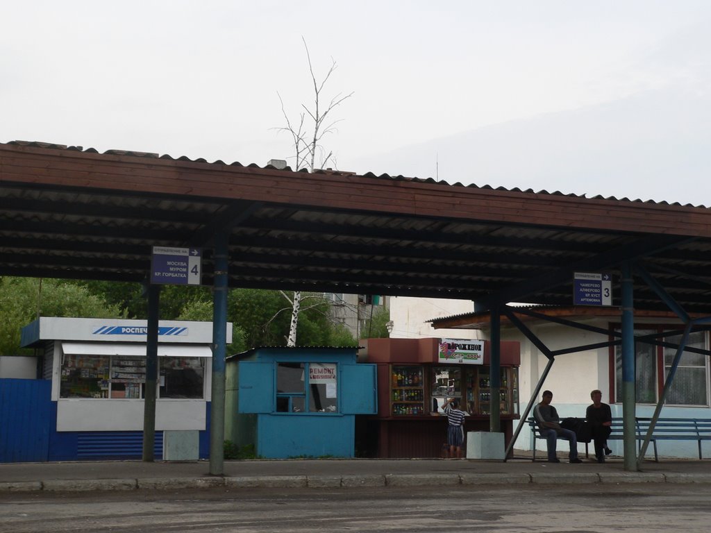 Автовокзал, Судогда