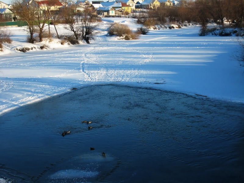 Зимний пляж, Алексеевская