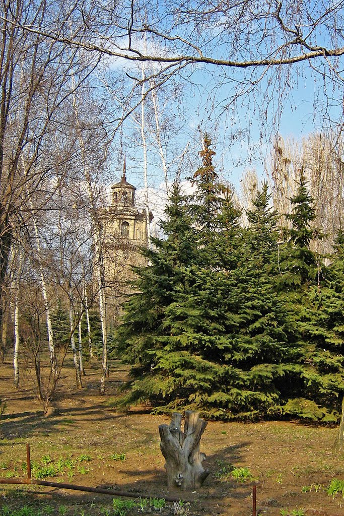 В парке городском., Алущевск