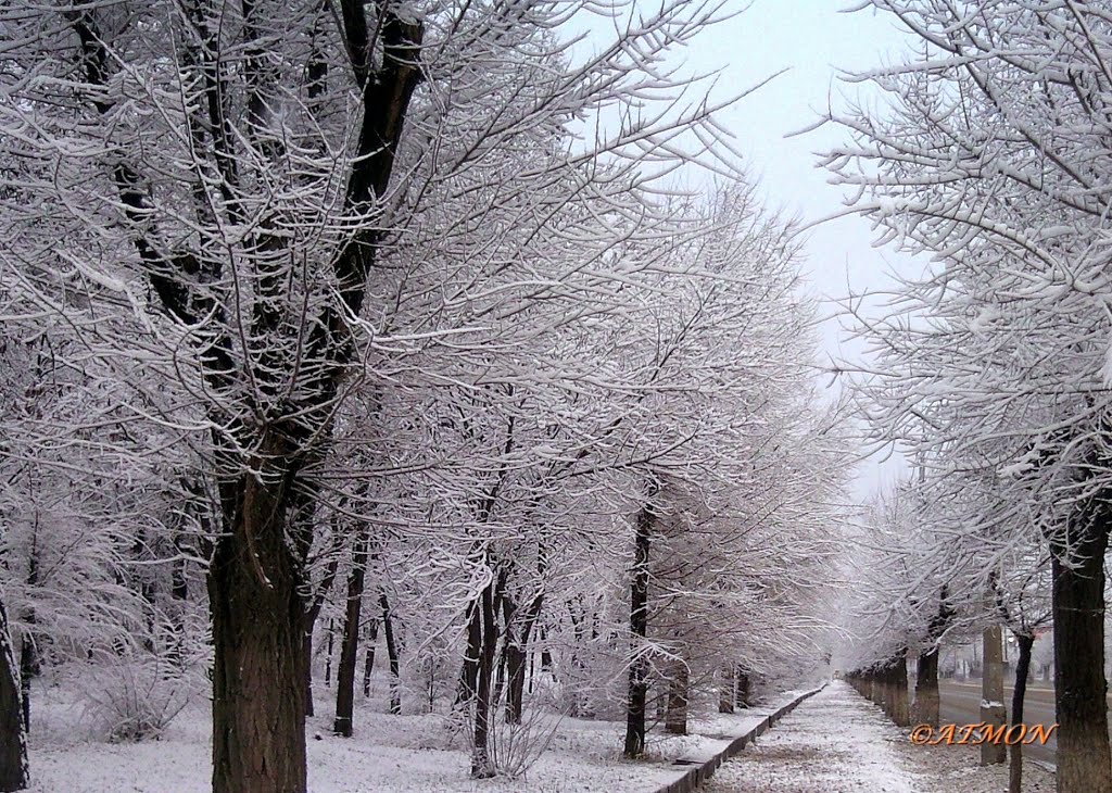 Зимняя аллея, Алущевск