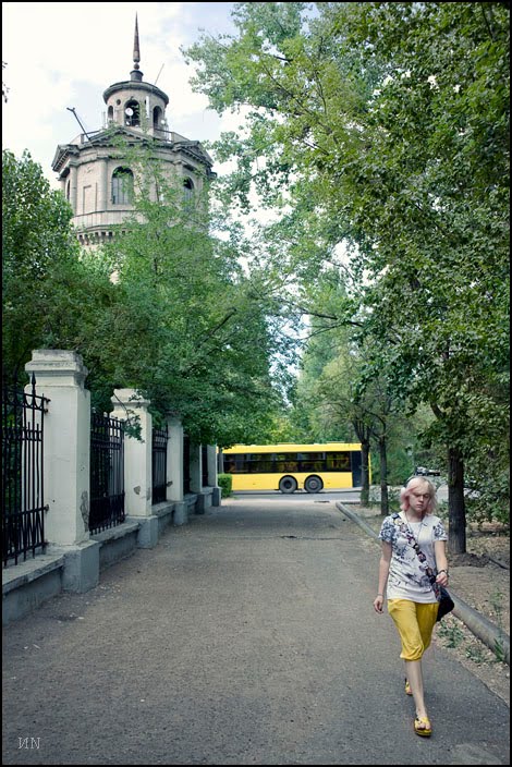 yellow on yellow, Волжский