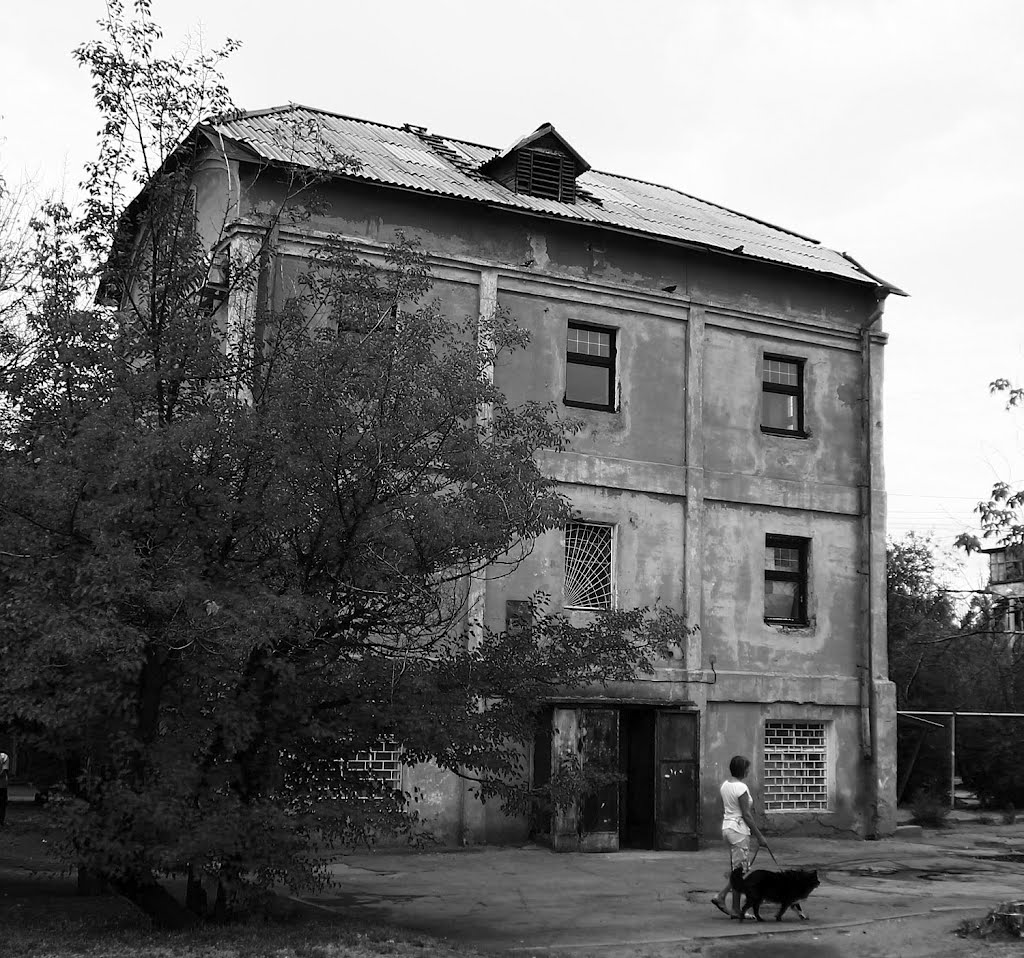 Старая мельница. The Old Mill., Волжский