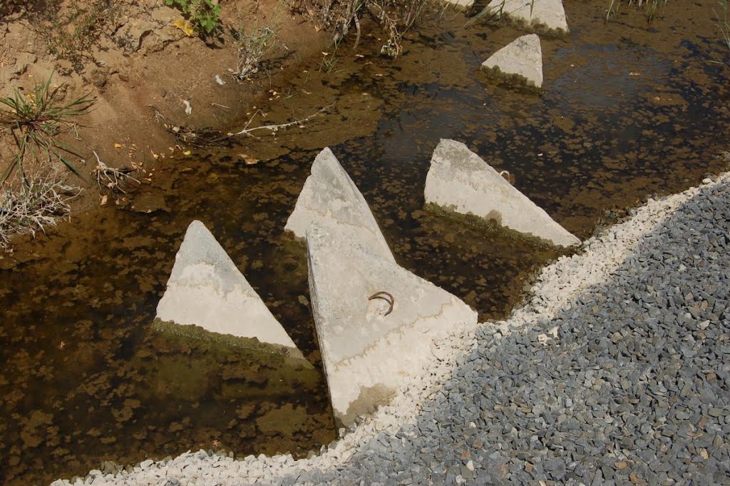 Край пирамид 2007 (Pyramides land), Дубовка