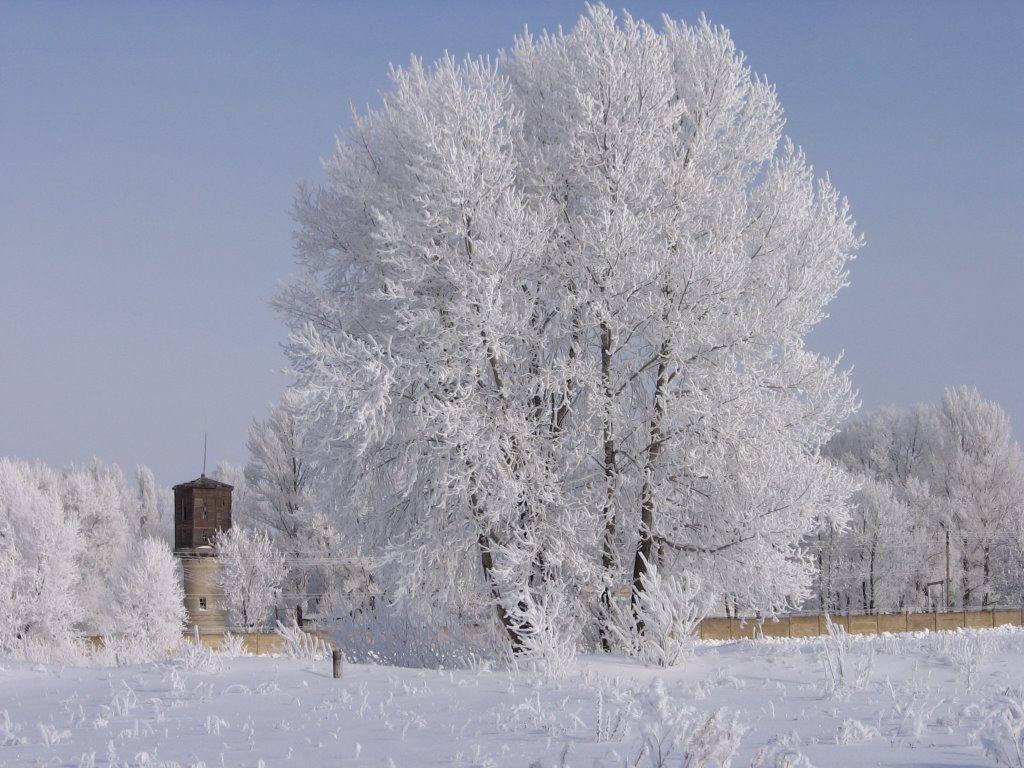 Зимняя сказка, Жирновск