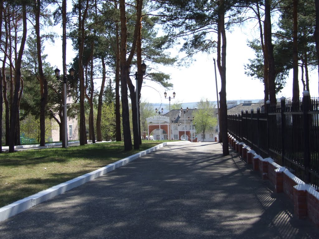 аллея у входа, Жирновск