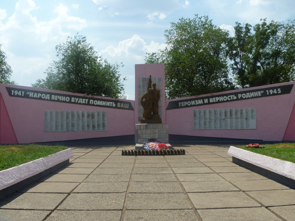 Памятник павшим войнам, Камышин