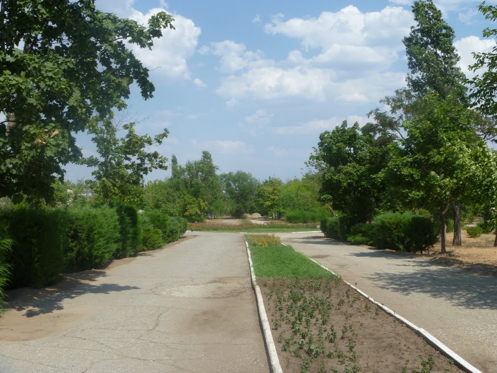 Парк, Камышин