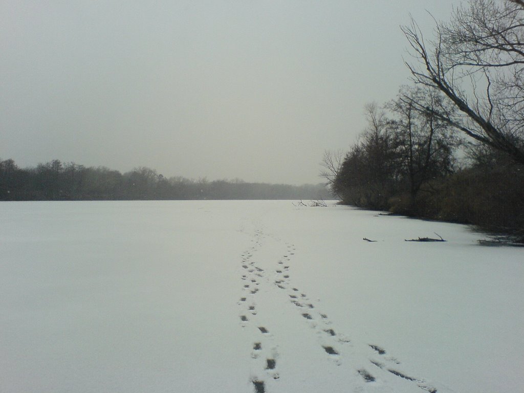 The frozen river, Клетский