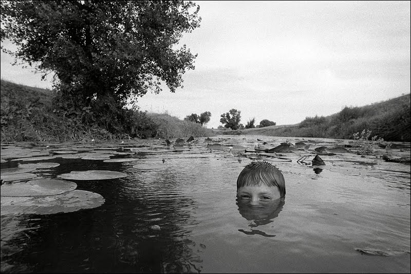 The frog pool, Клетский