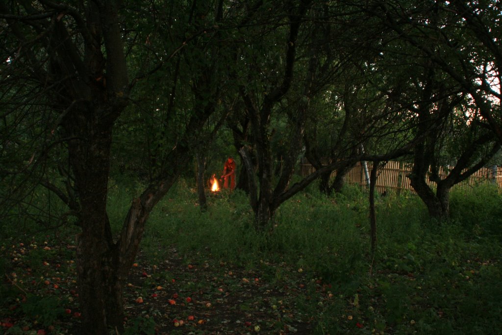 яблоневый сад вечером, Кумылженская
