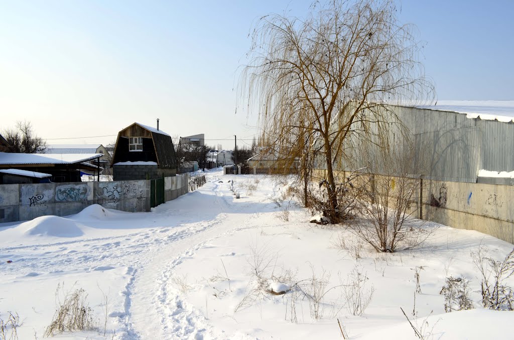 Дачник промышленная ул 6 село михайловка фото Дачник промышленная ул 6 село михайловка фото