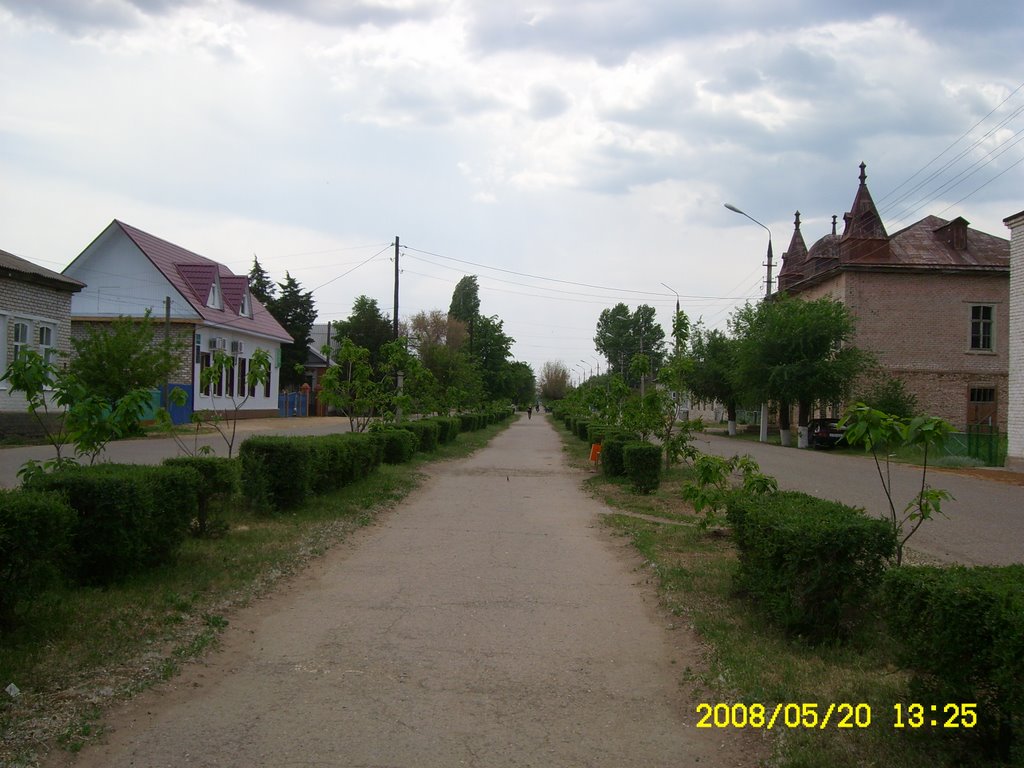 Аллея возле Дома Пионеров, Николаевск