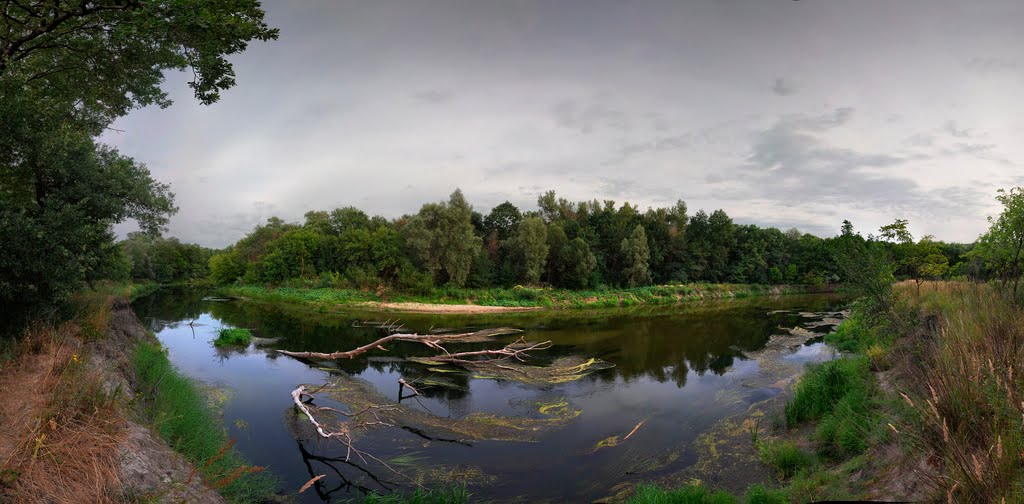 панорама реки, Новониколаевский