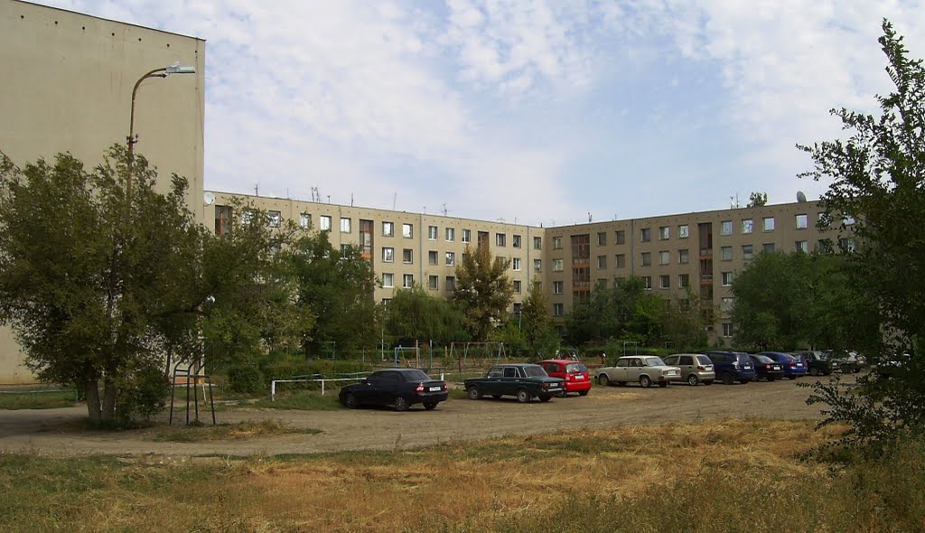 Палласовка волгоградская фото Палласовка волгоградская фото