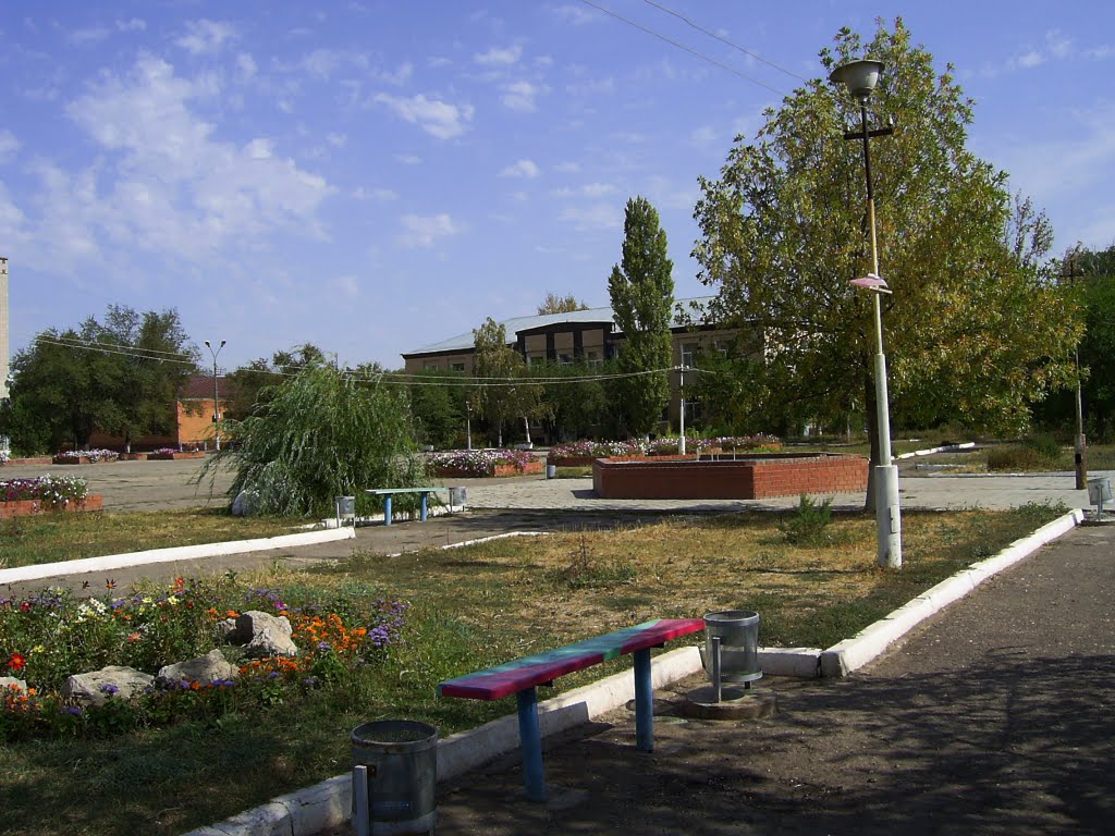 Палласовка волгоградская фото Палласовка волгоградская фото