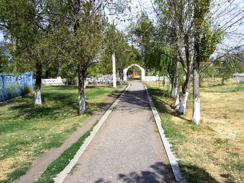 Палласовка волгоградская фото Палласовка волгоградская фото