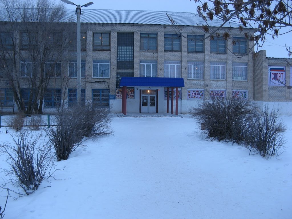 средняя школа №2, Палласовка