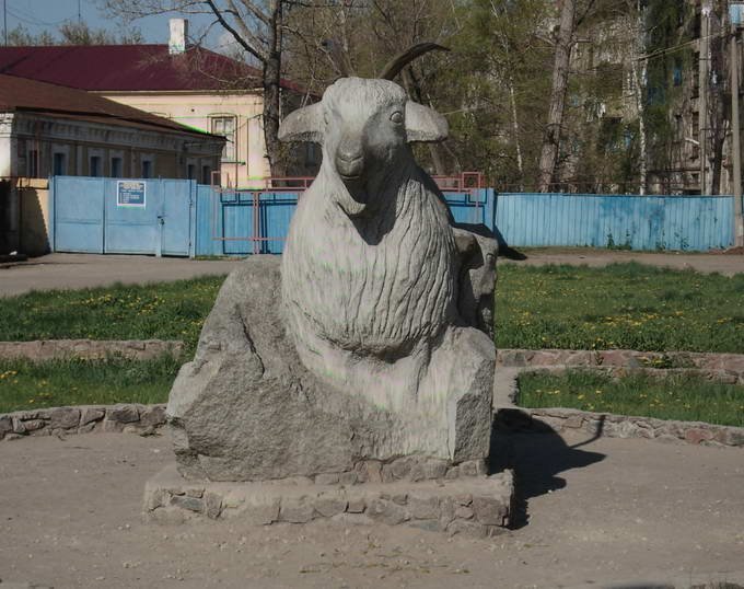 Коза, Урюпинск