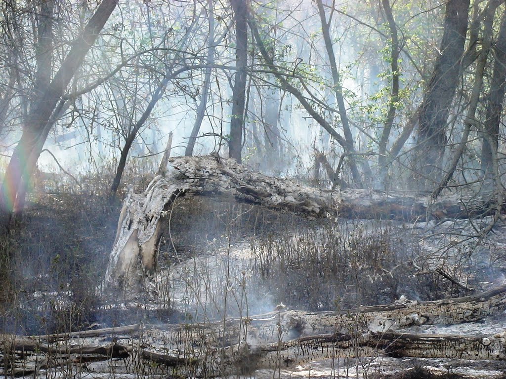 Лесной пожар, Урюпинск