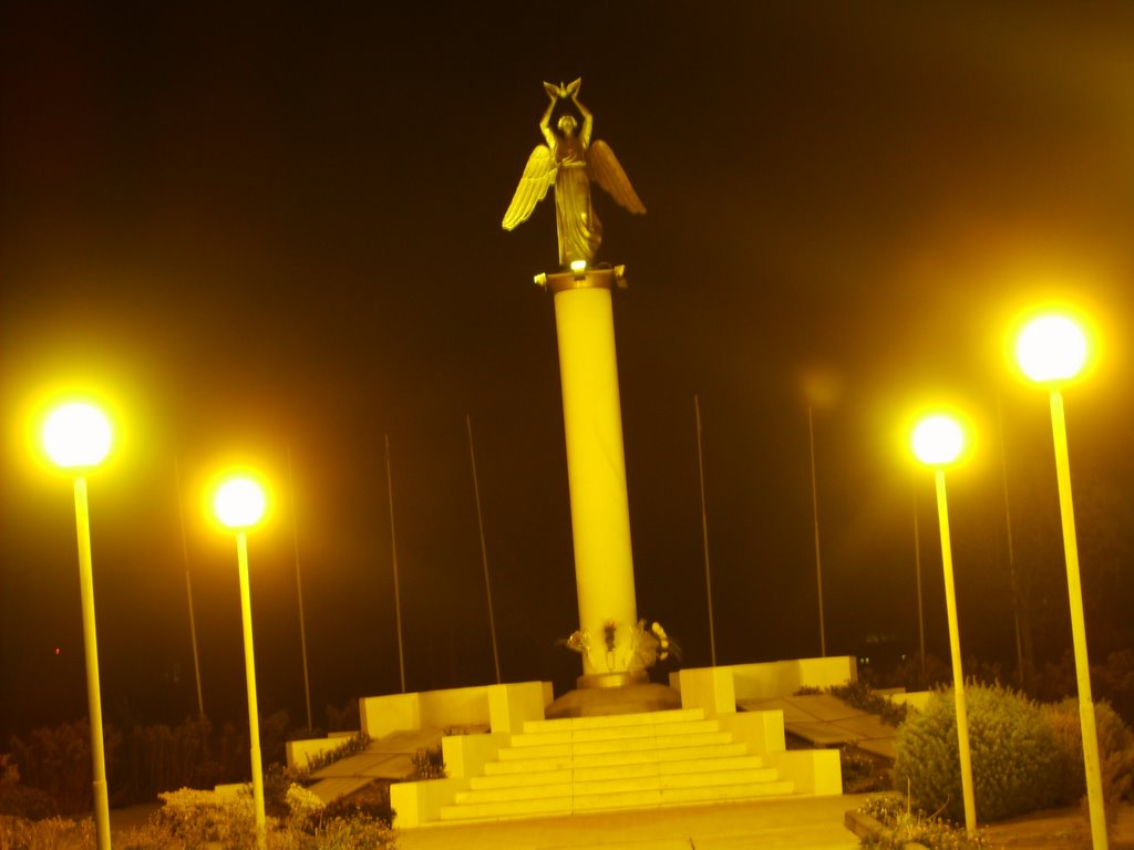 Памятник меценатам "Ангел мира" ночью 27.10.2008, Фролово