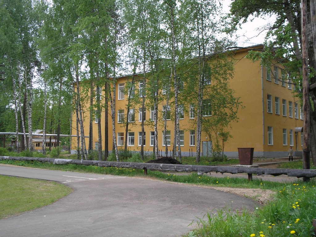 Средняя школа  №65, Бабаево