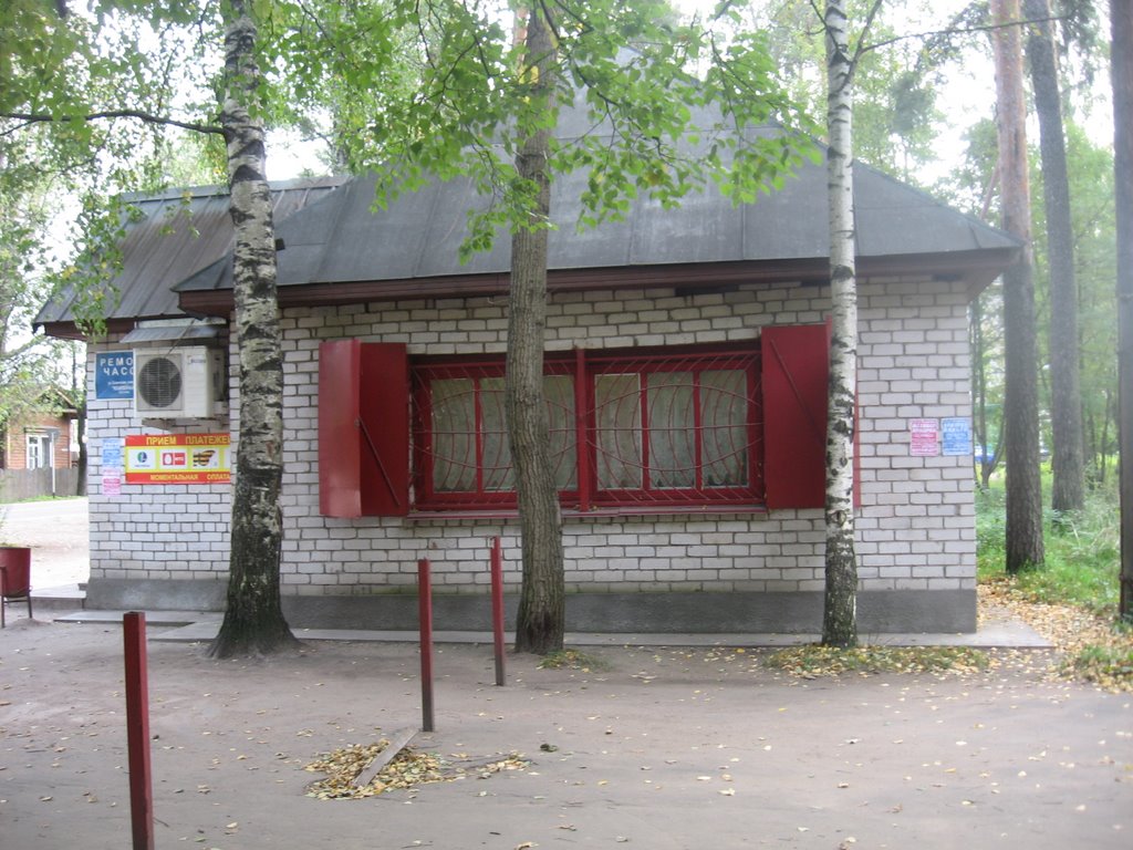 Магазин у Вокзала, Бабаево
