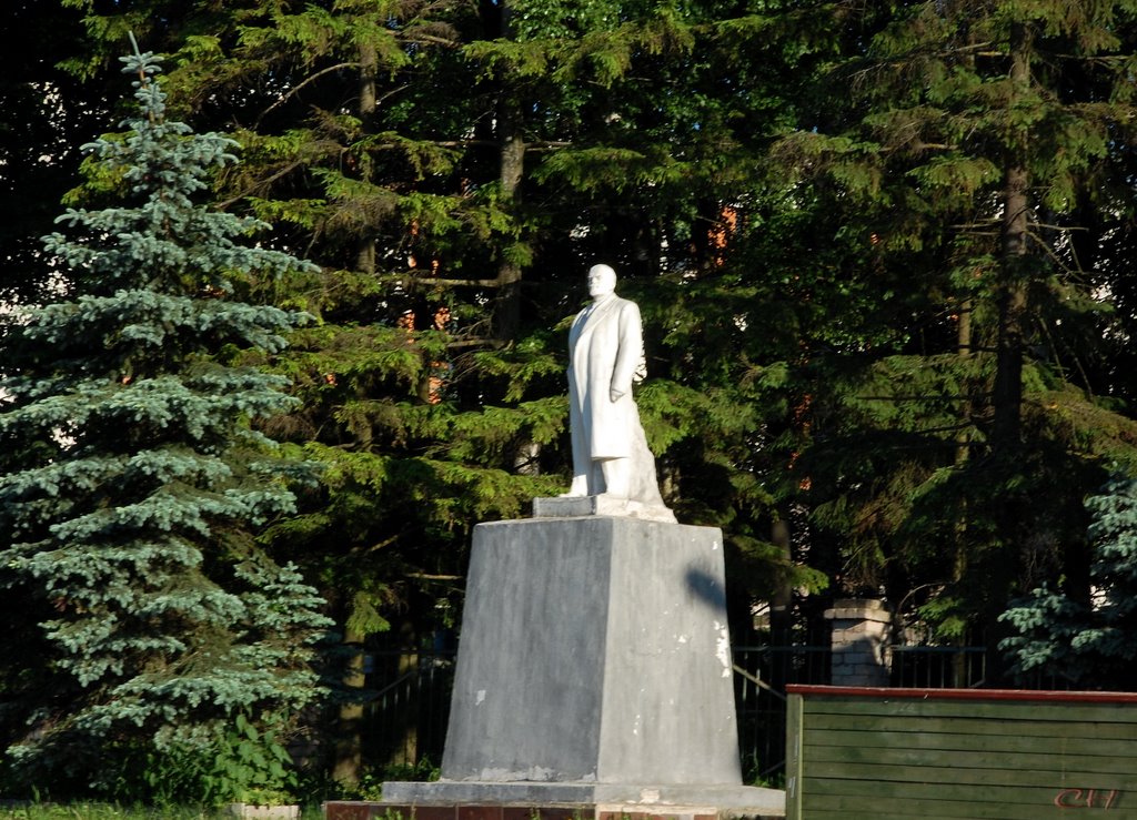 Белозерск. Ленин, Белозерск